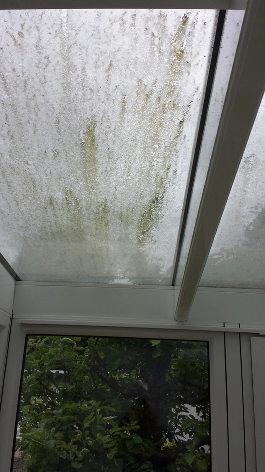 S-Clean — Glas- & Gebäudereinigung — Berlin — Glasreinigung Vorher